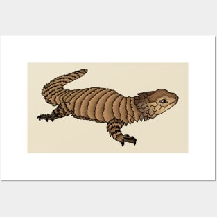Armadillo girdled lizard cartoon illustration Posters and Art